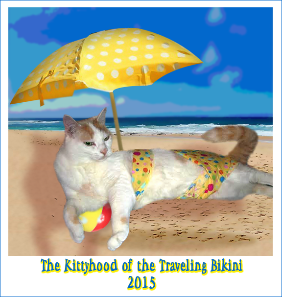 The Kittyhood of the Traveling Bikini