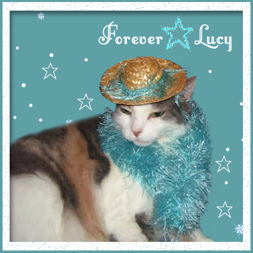 Forever Lucy