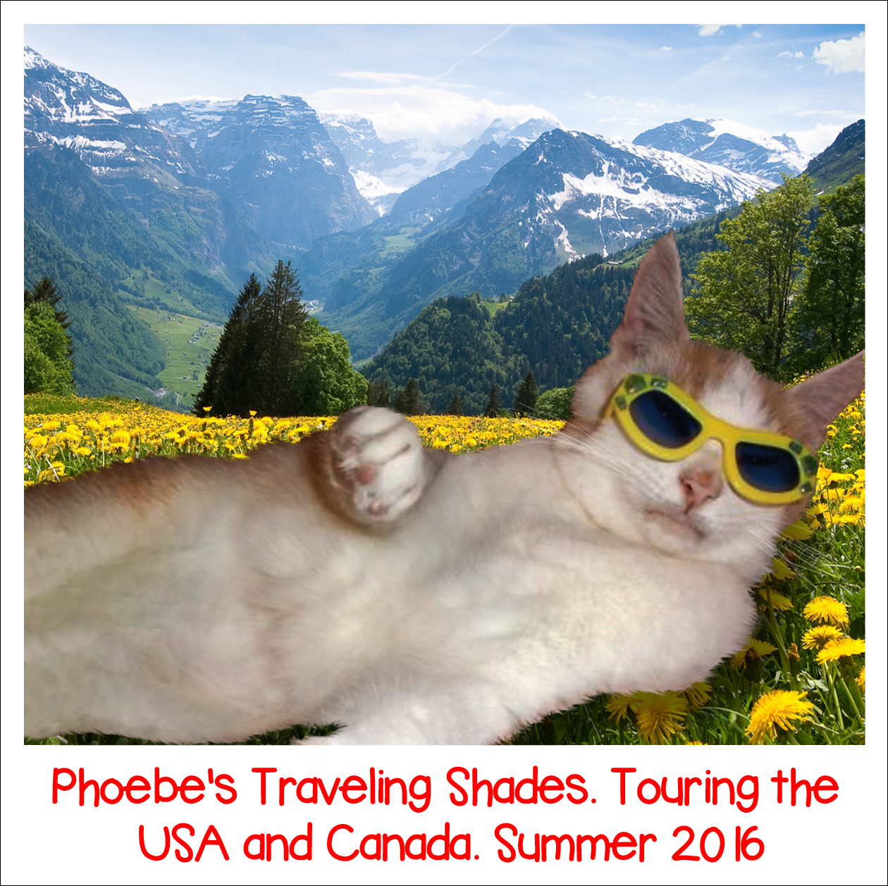 Phoebe's Traveling Shades