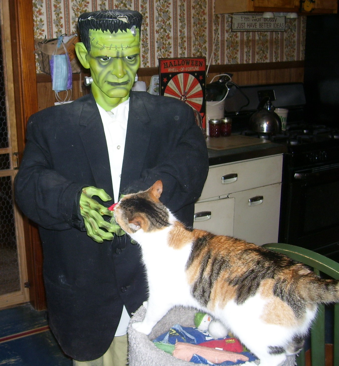 Brian frank accident picture